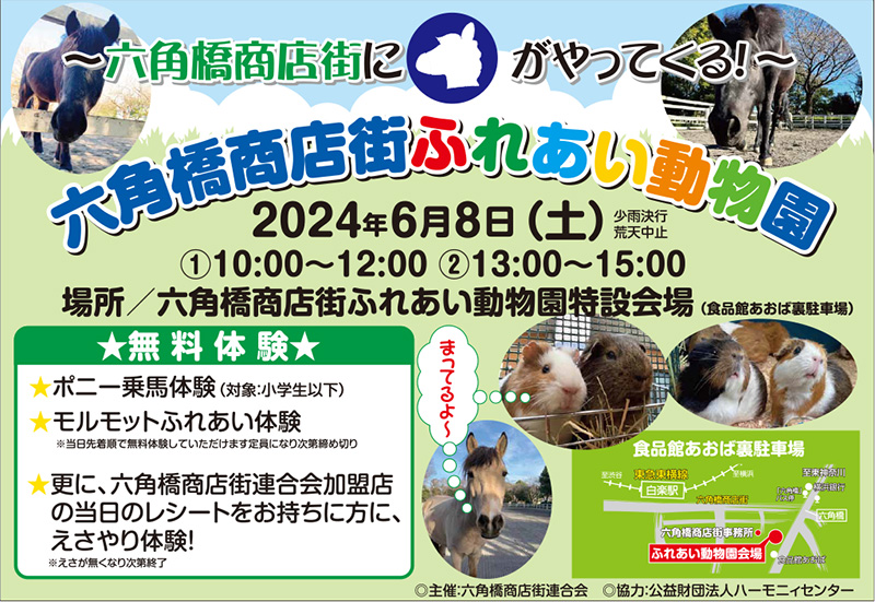 六角橋商店街ふれあい動物園